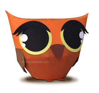 owl box