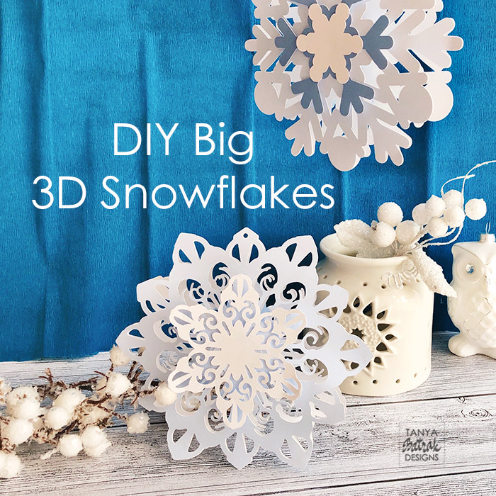 DIY Big D Snowflakes