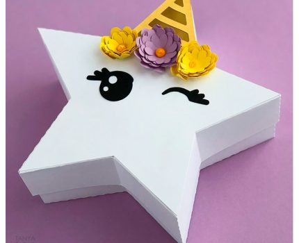 Cute Unicorn Star Gift Box
